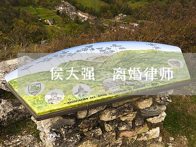 侯大强 离婚律师 侯大强 离婚律师